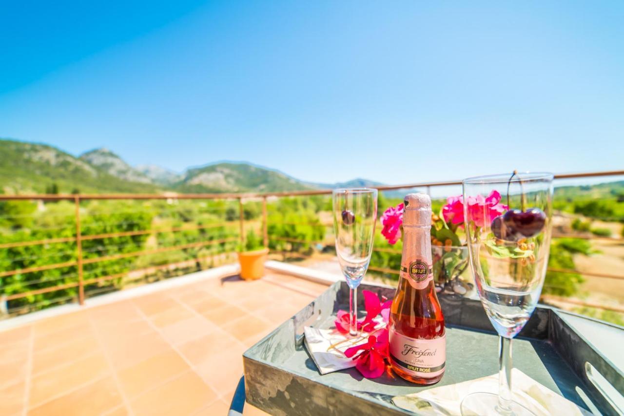 Lantställe Ideal Mallorca - Sa Vinyeta