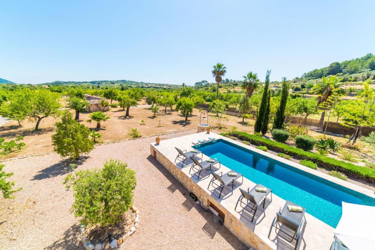 Ideal Mallorca - Sa Vinyeta Selva (Mallorca)