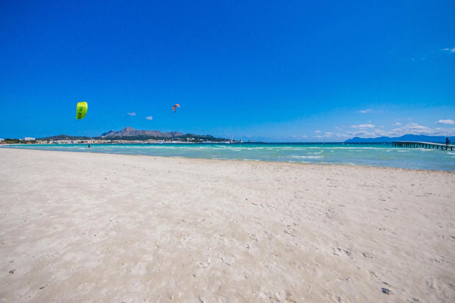 Ideal Mallorca - Sa Vinyeta Lantställe